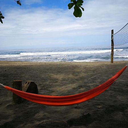 Perla Negra Beach Front Hotel Puerto Viejo de Talamanca Zewnętrze zdjęcie