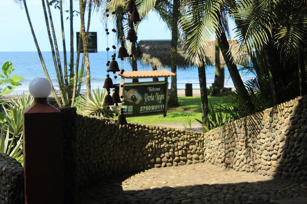 Perla Negra Beach Front Hotel Puerto Viejo de Talamanca Zewnętrze zdjęcie