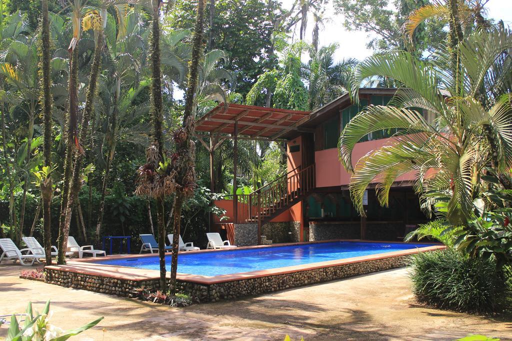 Perla Negra Beach Front Hotel Puerto Viejo de Talamanca Zewnętrze zdjęcie