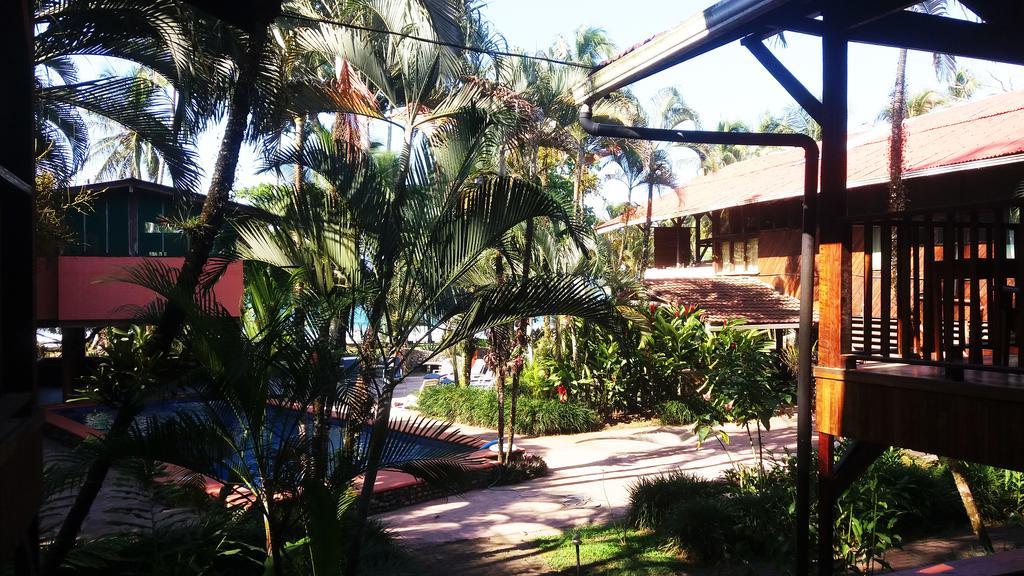 Perla Negra Beach Front Hotel Puerto Viejo de Talamanca Zewnętrze zdjęcie