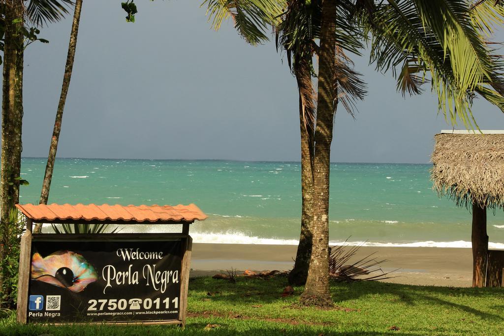 Perla Negra Beach Front Hotel Puerto Viejo de Talamanca Zewnętrze zdjęcie