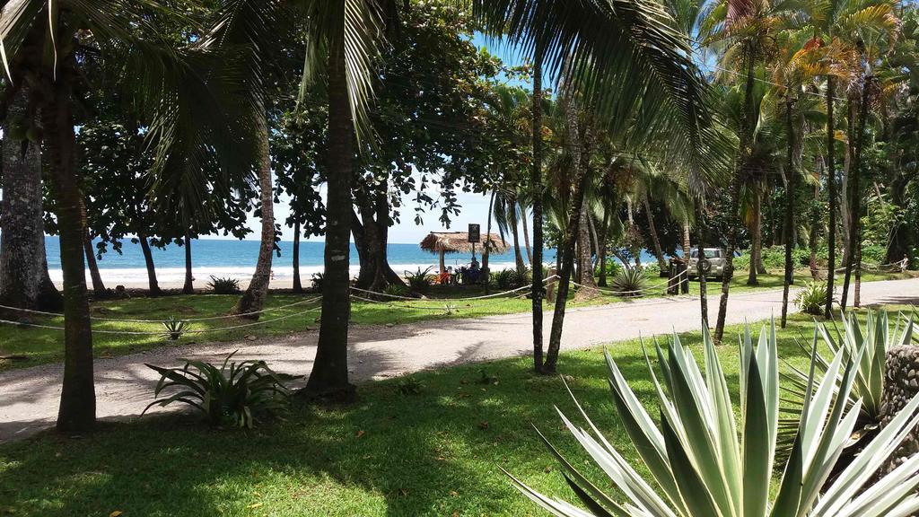Perla Negra Beach Front Hotel Puerto Viejo de Talamanca Zewnętrze zdjęcie
