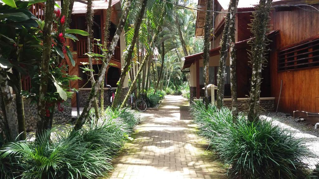 Perla Negra Beach Front Hotel Puerto Viejo de Talamanca Zewnętrze zdjęcie