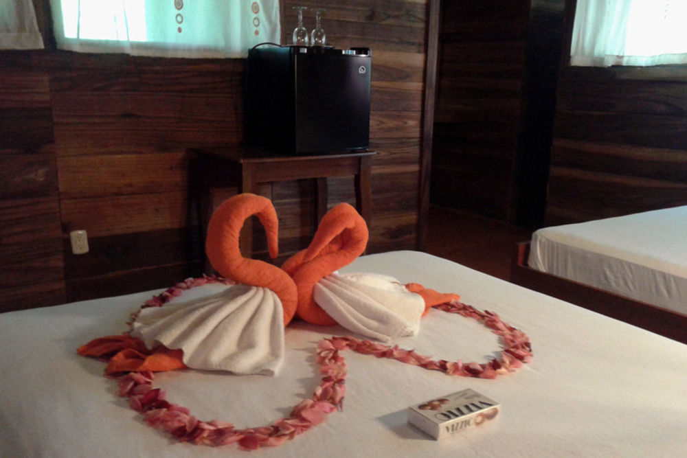 Perla Negra Beach Front Hotel Puerto Viejo de Talamanca Zewnętrze zdjęcie