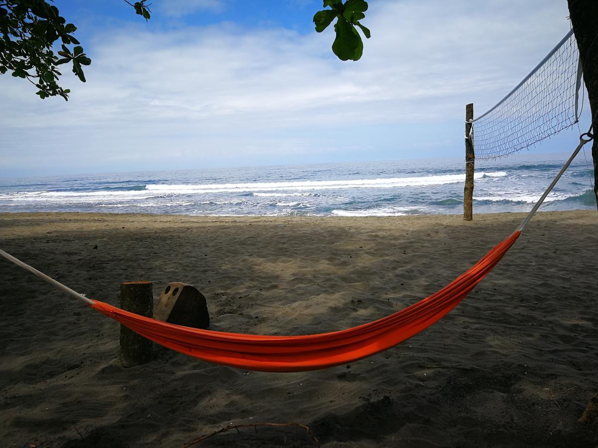 Perla Negra Beach Front Hotel Puerto Viejo de Talamanca Zewnętrze zdjęcie