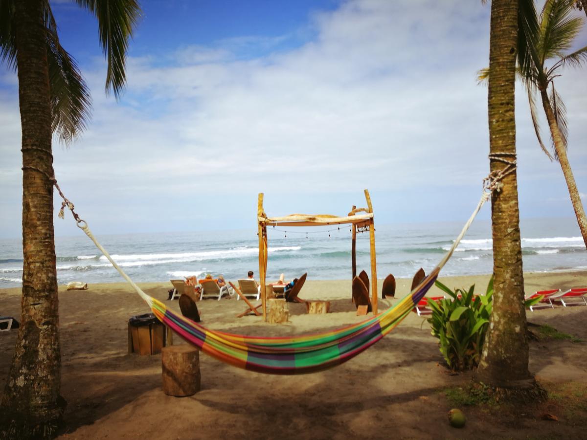 Perla Negra Beach Front Hotel Puerto Viejo de Talamanca Zewnętrze zdjęcie
